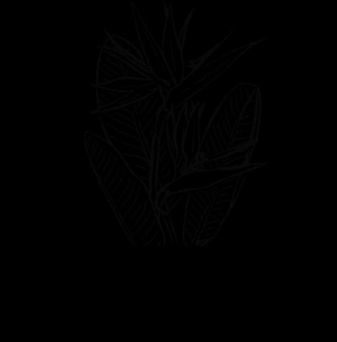 Natal Landscapes Logo